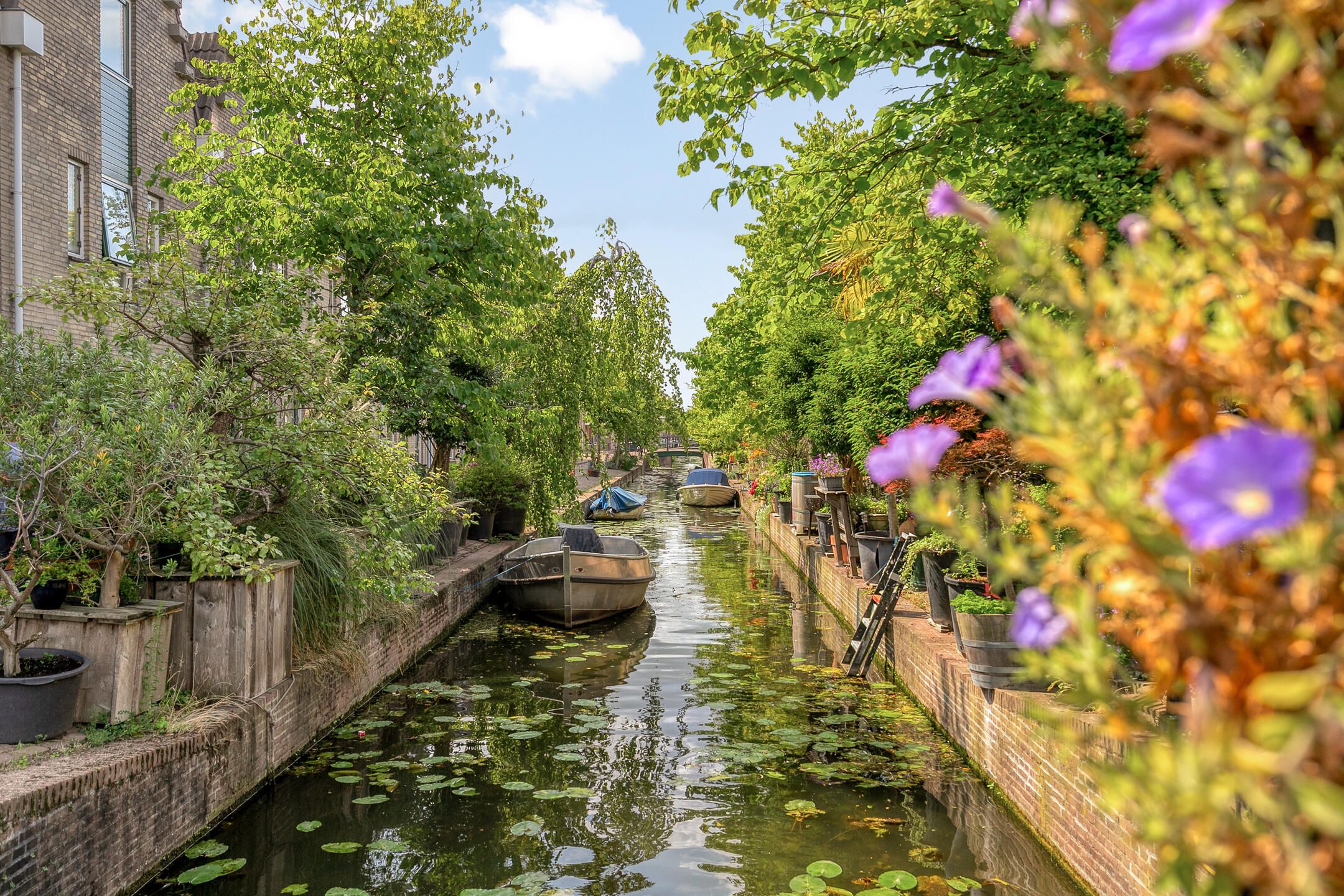 Photo 27 of Minnebroersgracht 10