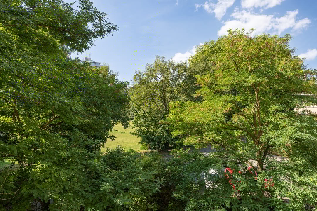 Foto 38 van Heunpark 4213