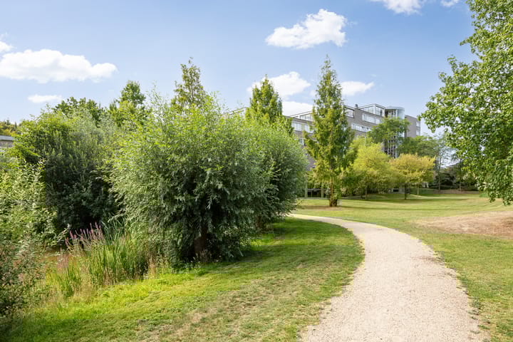 Foto 46 van Heunpark 4213