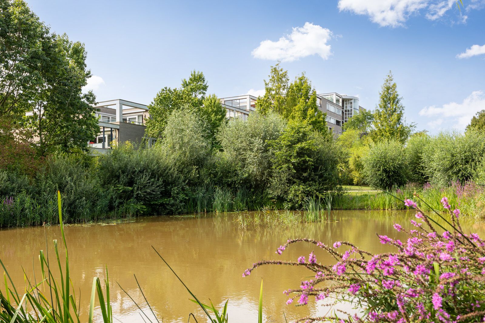 Foto 48 van Heunpark 4213