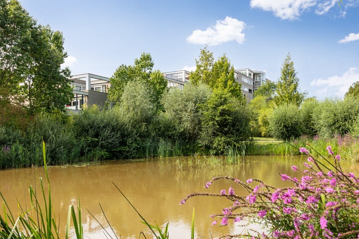 Foto 48 van Heunpark 4213