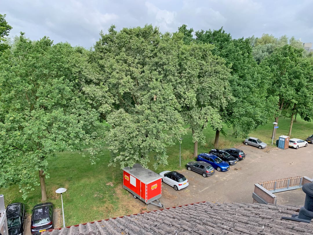 Foto 11 van Albert van Dalsumlaan 283