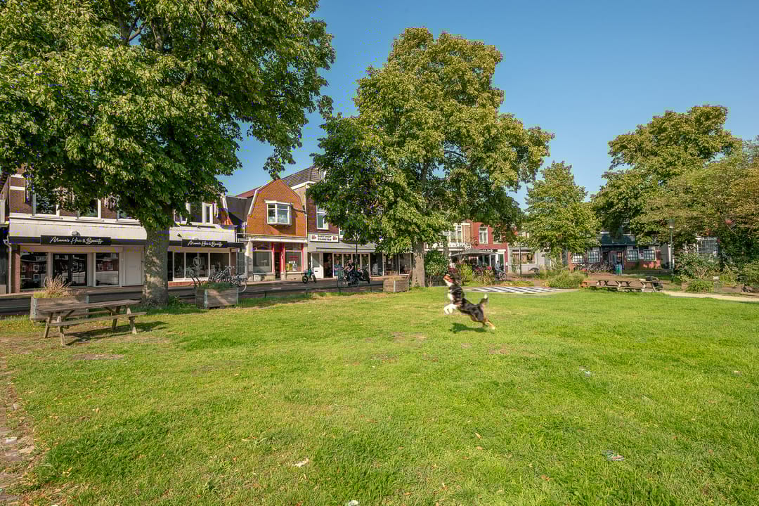 Foto 47 van Apolloplantsoen 6