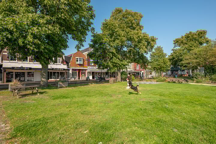 Foto 47 van Apolloplantsoen 6