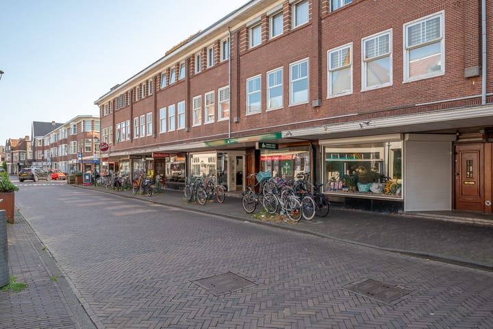 Foto 48 van Apolloplantsoen 6