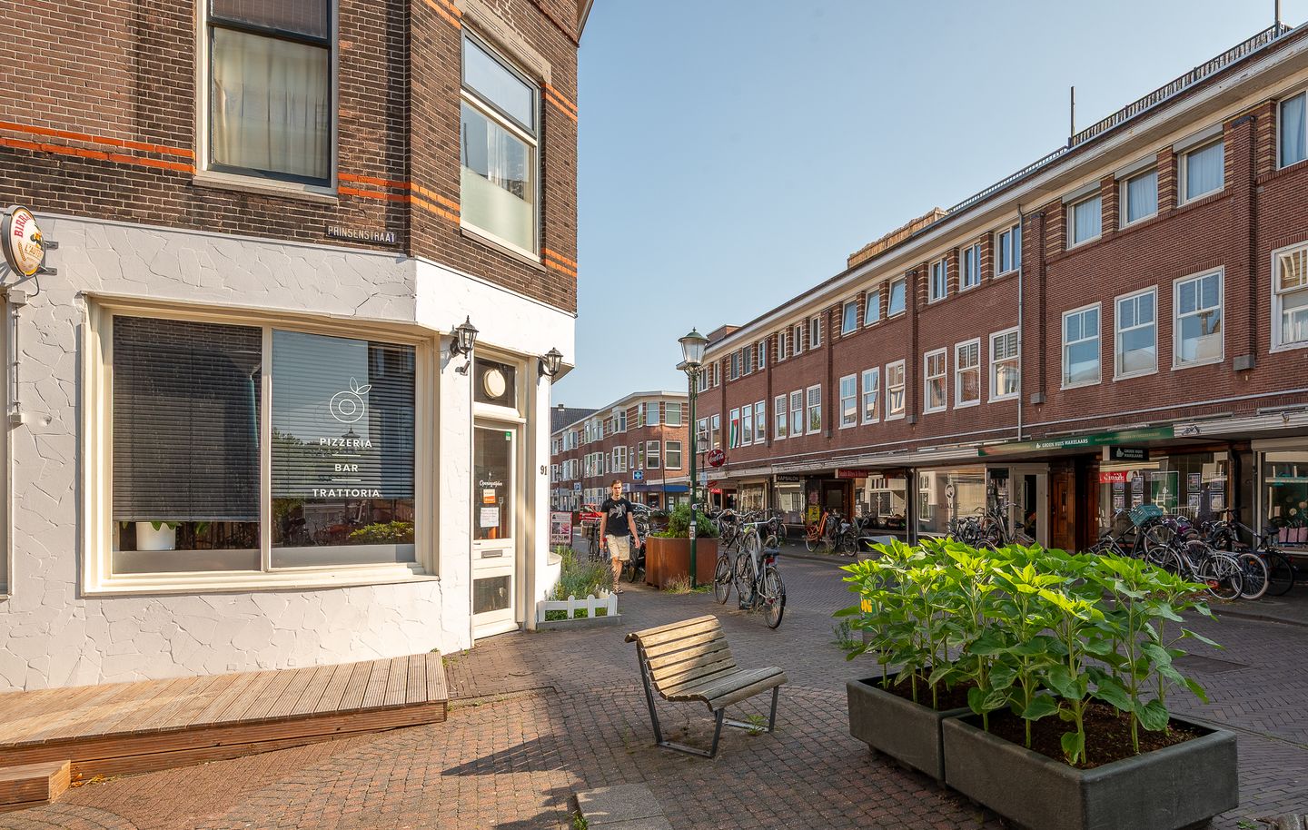 Foto 49 van Apolloplantsoen 6