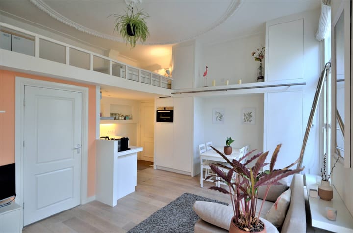 Foto 9 van Plantage Westermanlaan 7-B