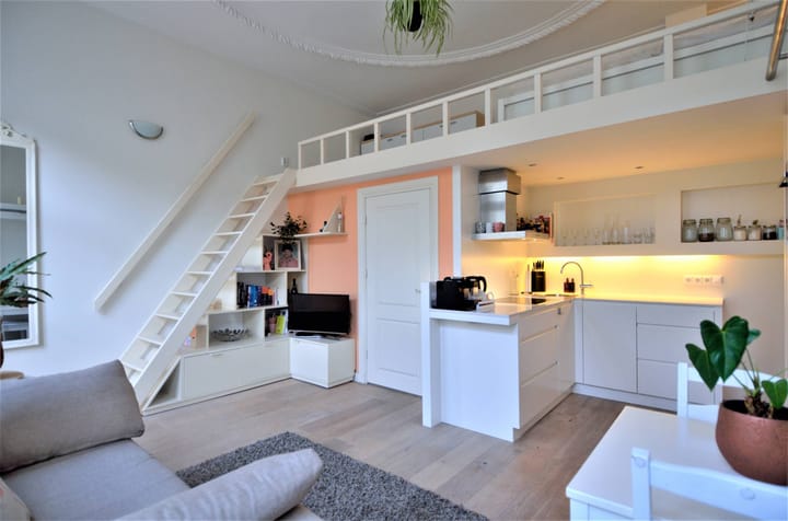 Foto 2 van Plantage Westermanlaan 7-B