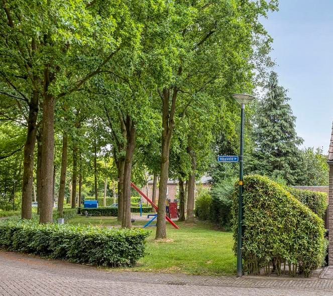 Photo 30 of Mosveld 8