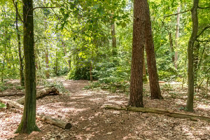 Foto 47 van Van den Boschlaan 125