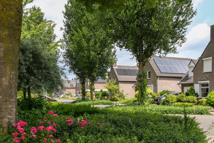 Foto 40 van Prof. van Oijenstraat 15