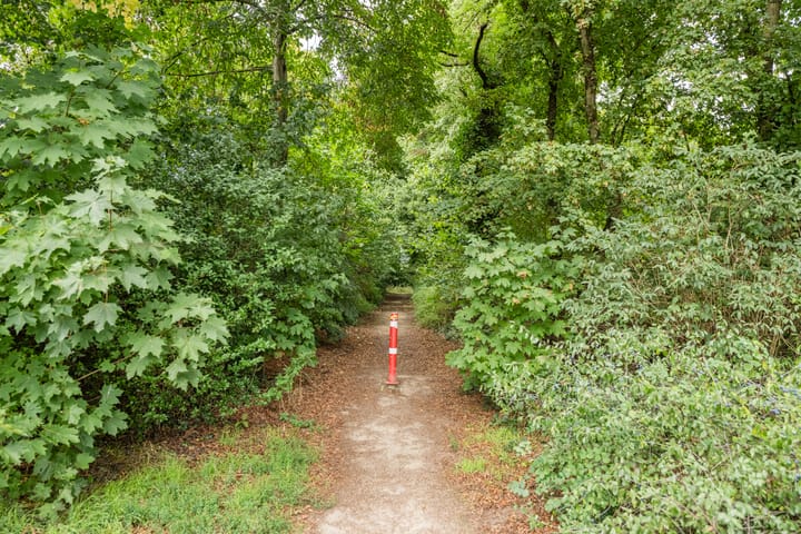 Foto 46 van Leibeemd 146