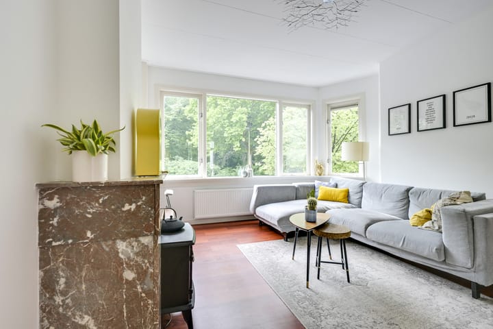 Photo 3 of Amsterdamsestraatweg 443-ABS