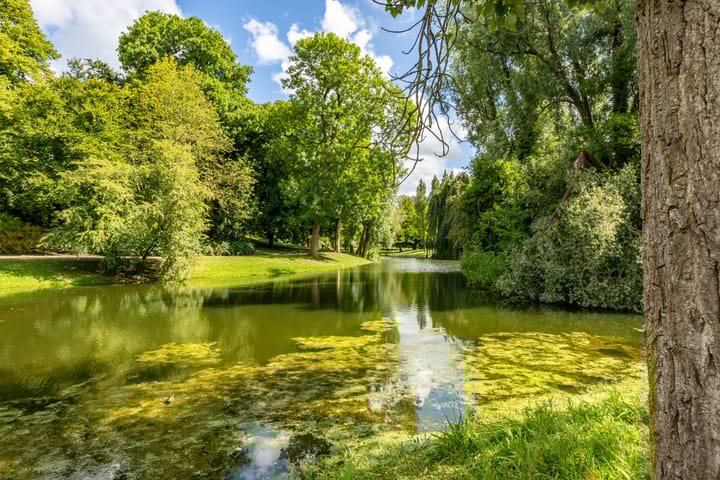 Foto 38 van Selwerderstraat 20