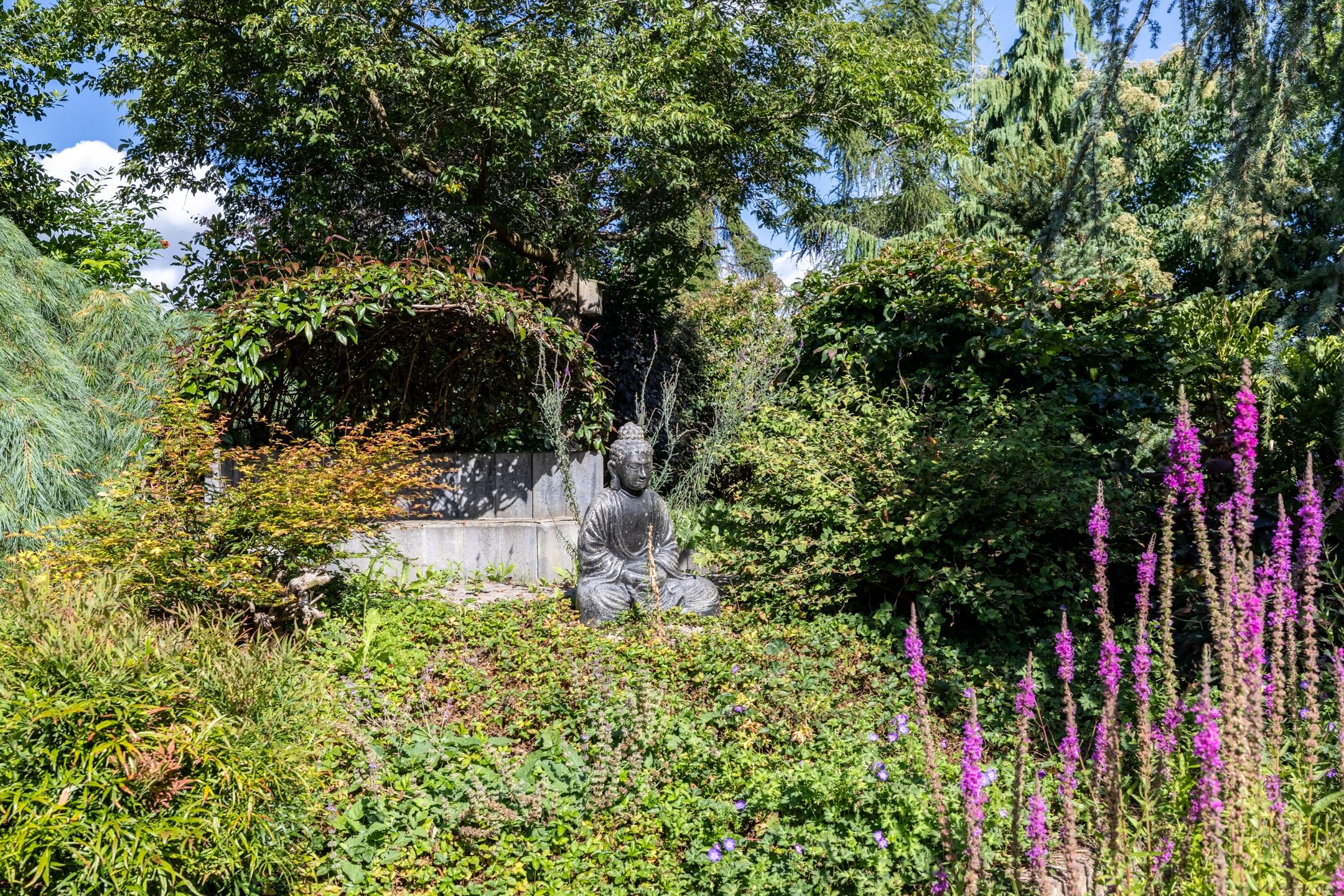 Foto 36 van Luitertweg 3