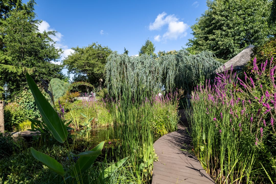 Foto 37 van Luitertweg 3