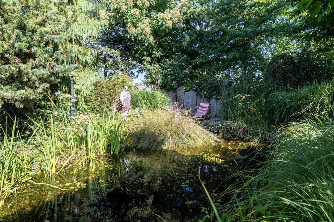 Foto 41 van Luitertweg 3