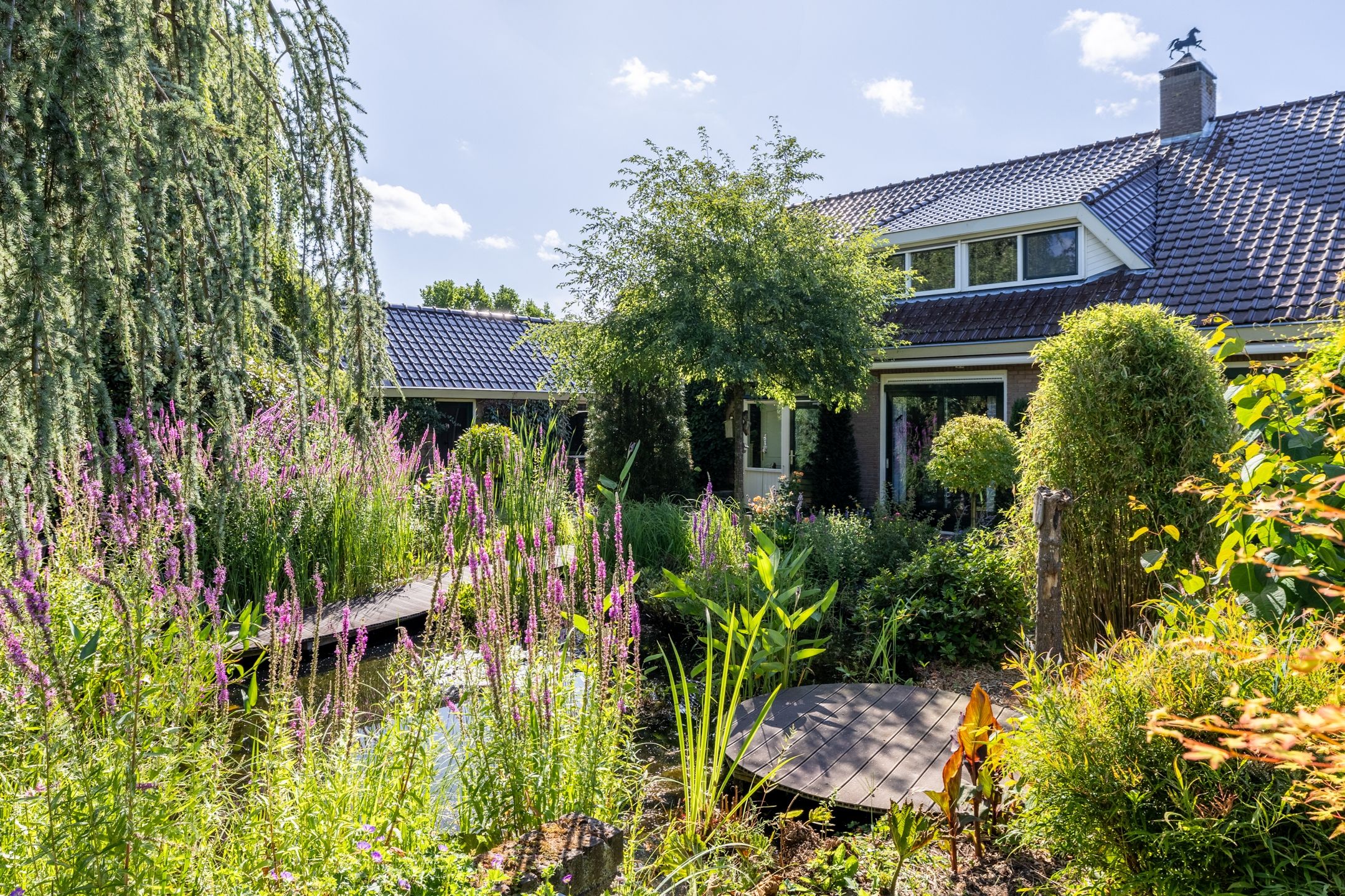 Foto 45 van Luitertweg 3