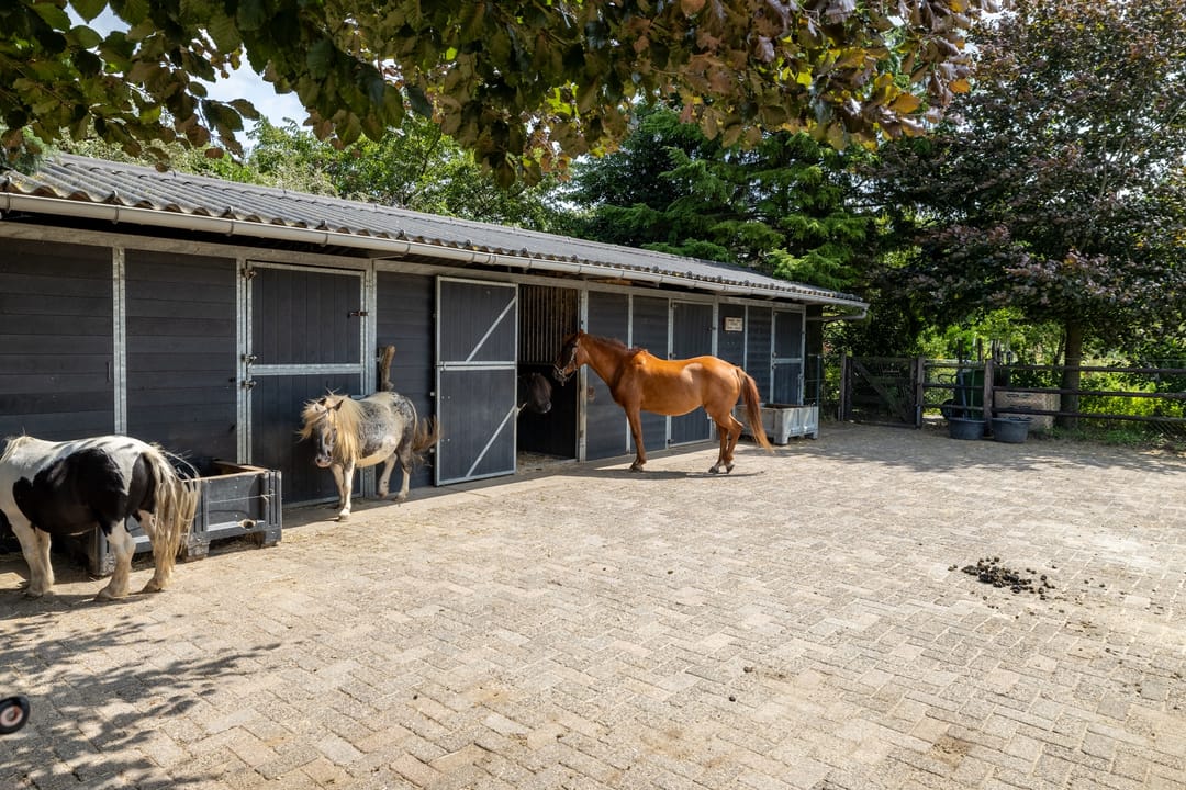 Foto 56 van Luitertweg 3