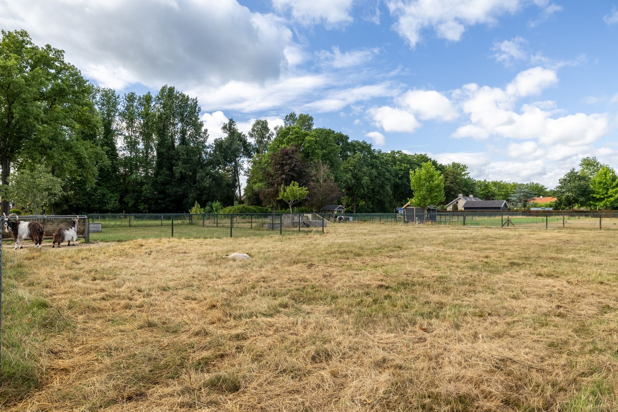 Foto 60 van Luitertweg 3