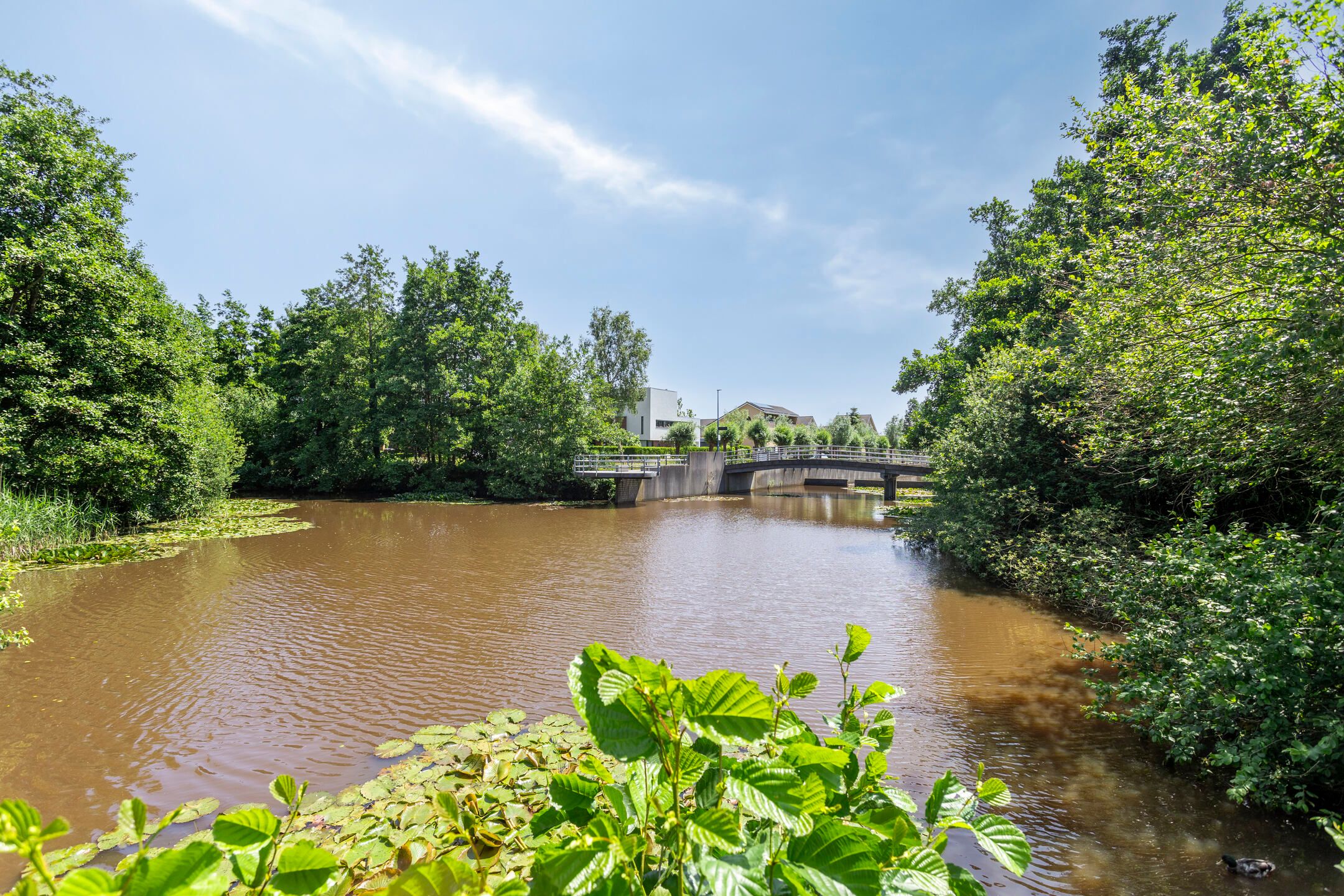 Foto 54 van Opper 14