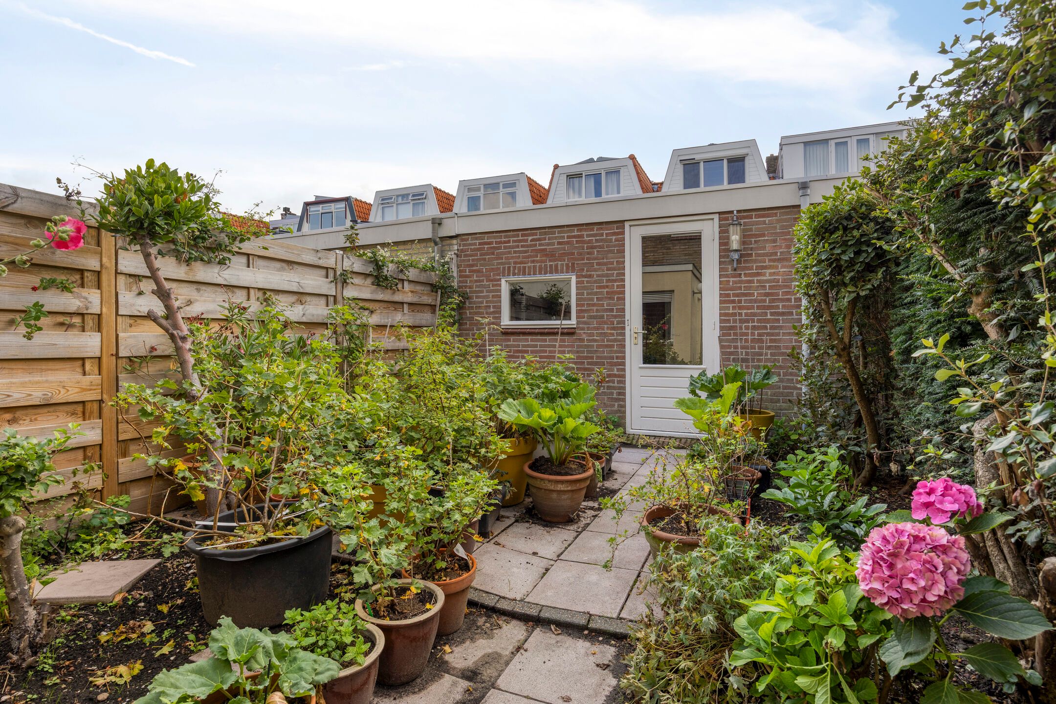 Photo 18 of Cosijnstraat 20