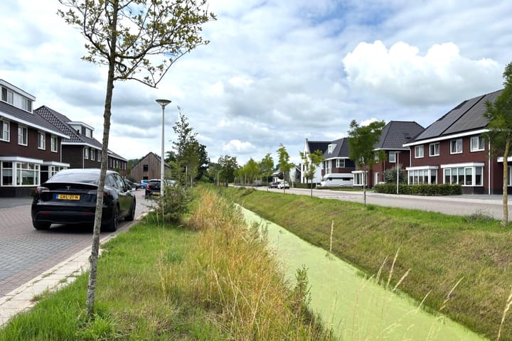 Photo 36 of Rietgors 7