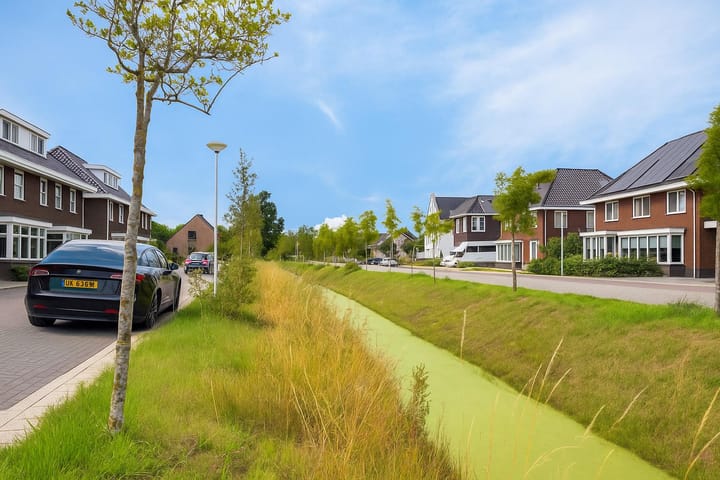 Photo 37 of Rietgors 7