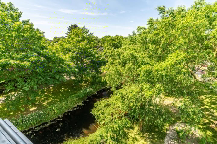 Foto 2 van Vijf Meilaan 246