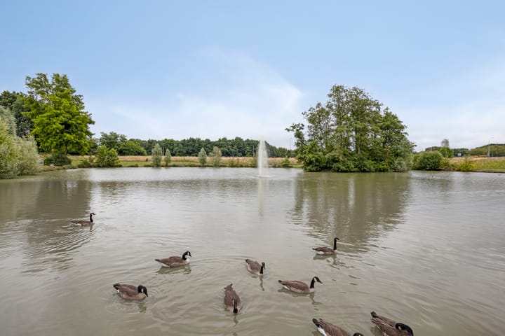 Foto 49 van Laan van het Kwekebos 214