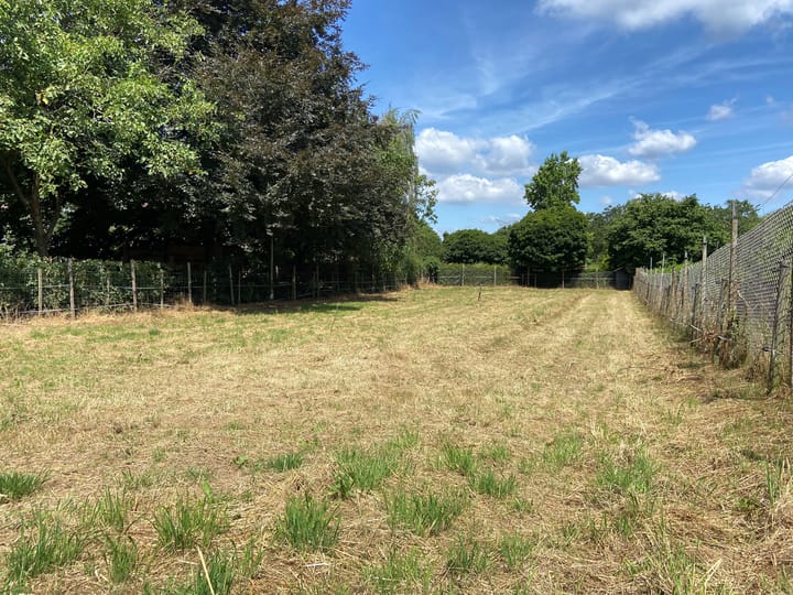 Foto 2 van Kempweg 3