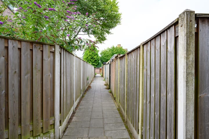 Foto 25 van Vogelplantsoen 77