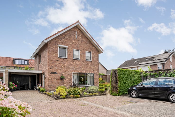 Foto 5 van de Karekiet 24