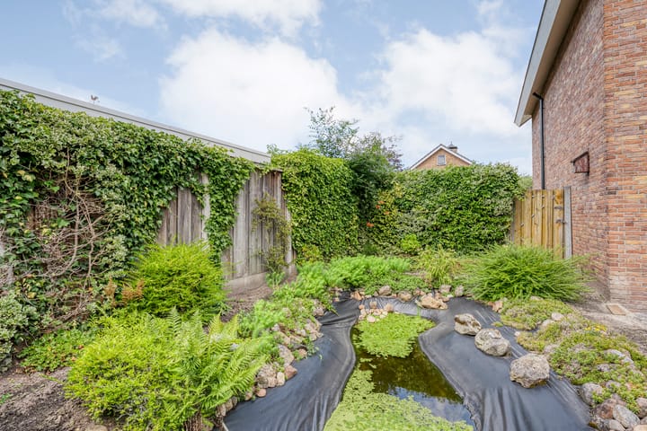 Foto 24 van de Karekiet 24