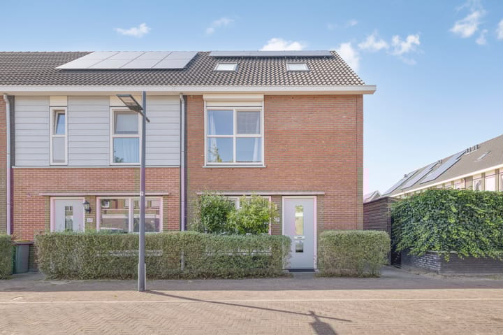 Foto 1 van Blokvucht 69