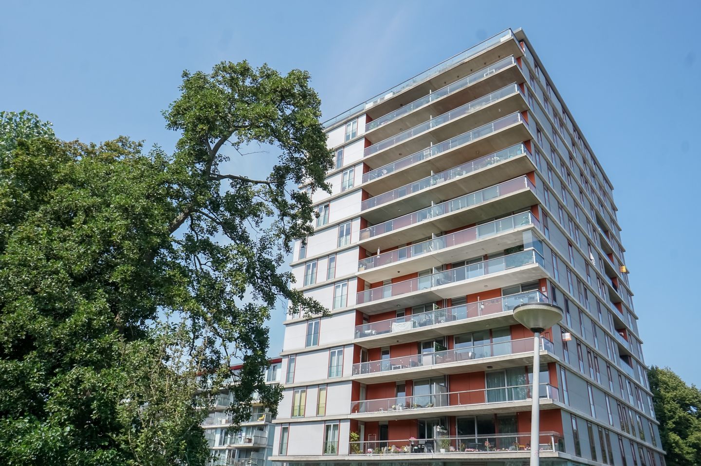 Photo 4 of Osdorper Ban 649