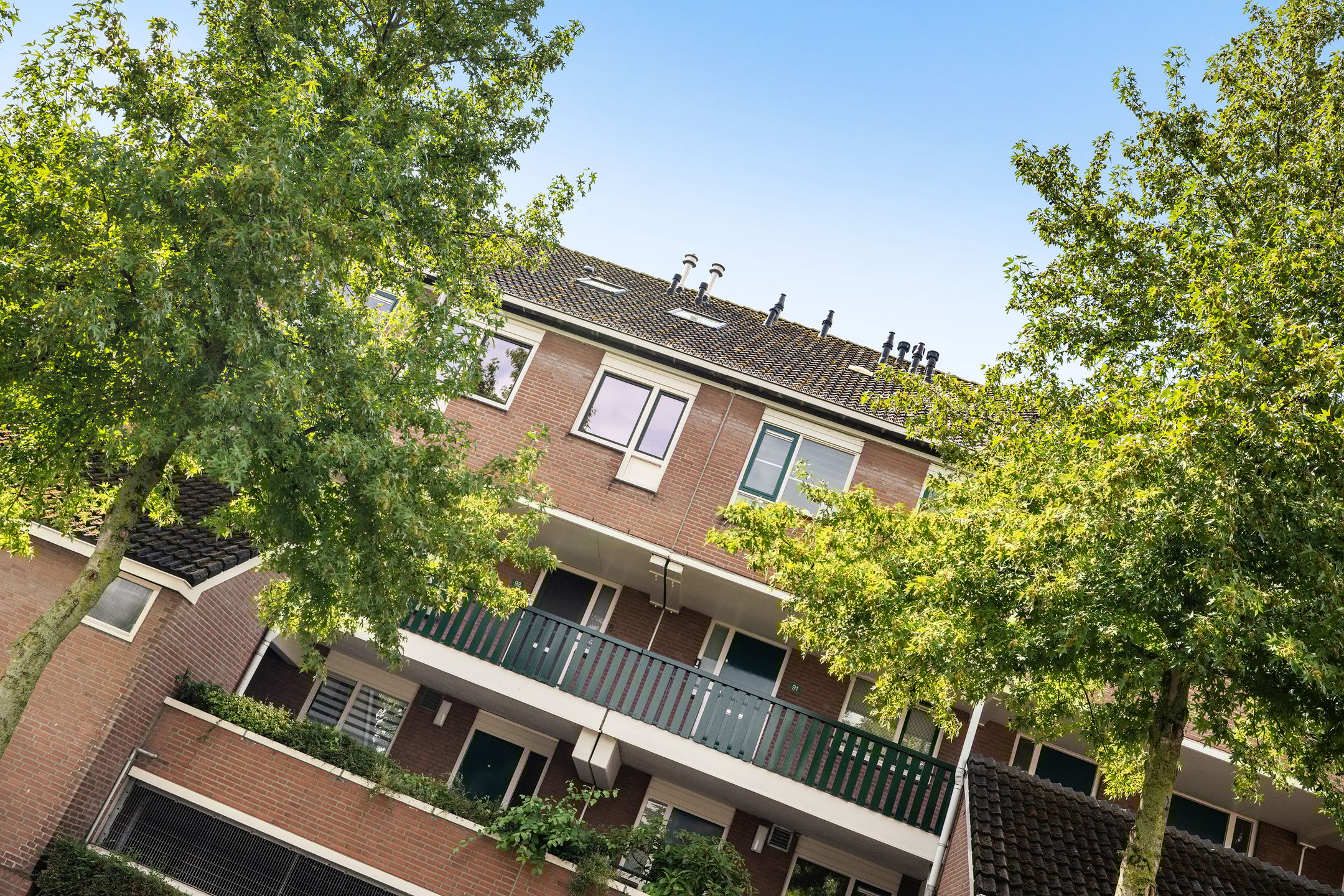 Foto 3 van Slangenburg 92