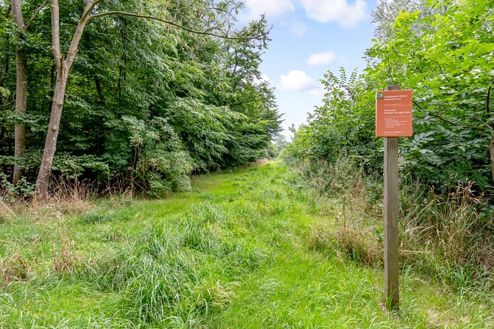 Foto 47 van John Lockeweg 17