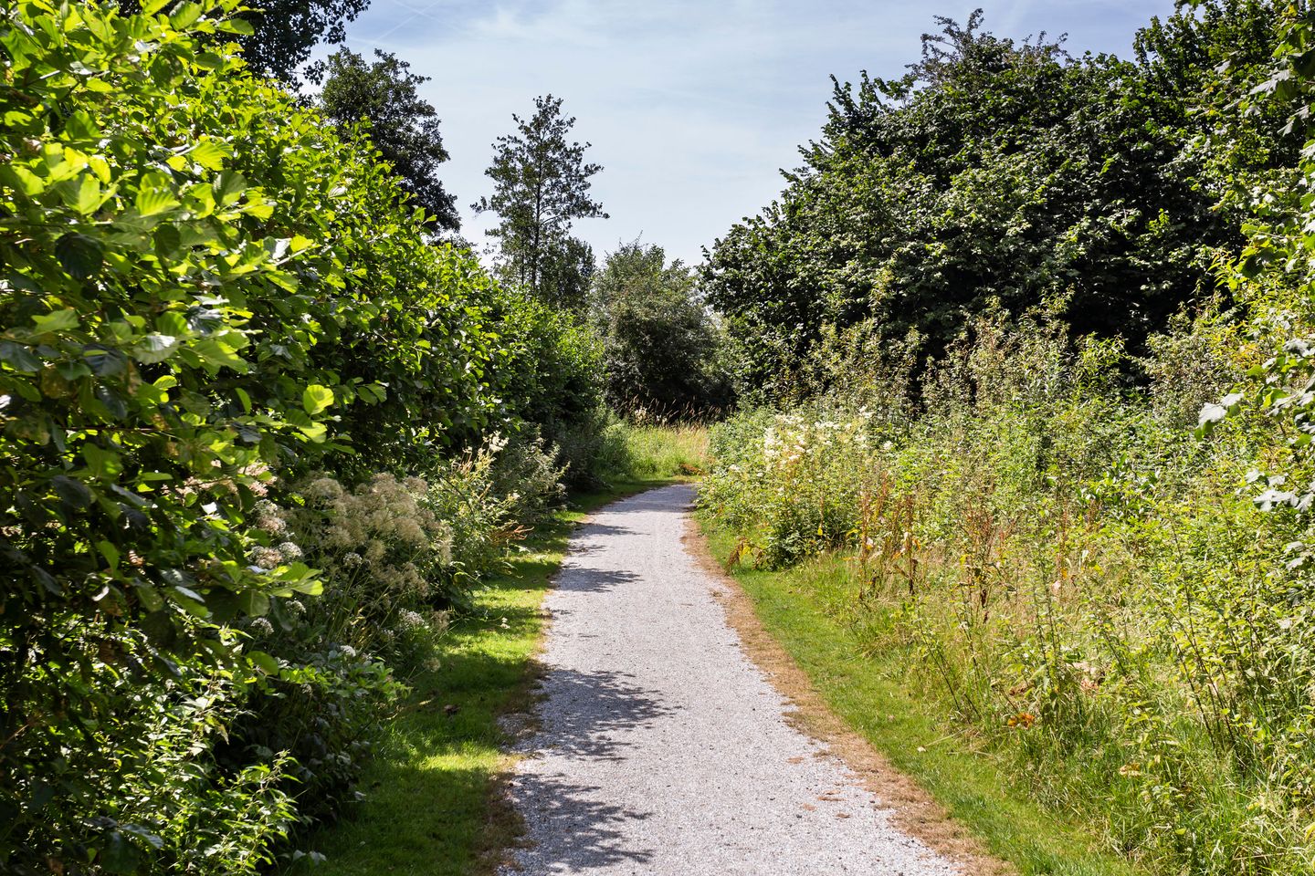 Photo 34 of Arabellapad 178