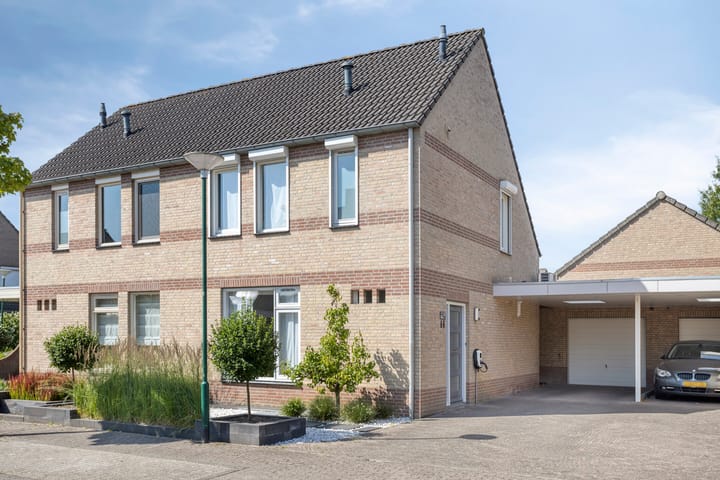 Foto 1 van Schutsboom 21