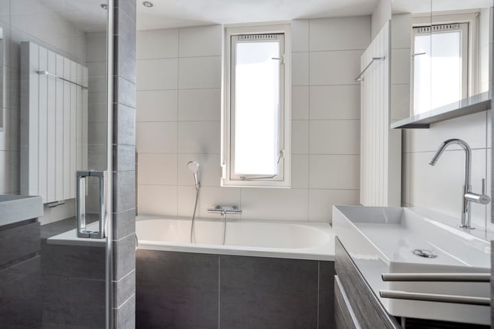 Foto 18 van Schutsboom 21