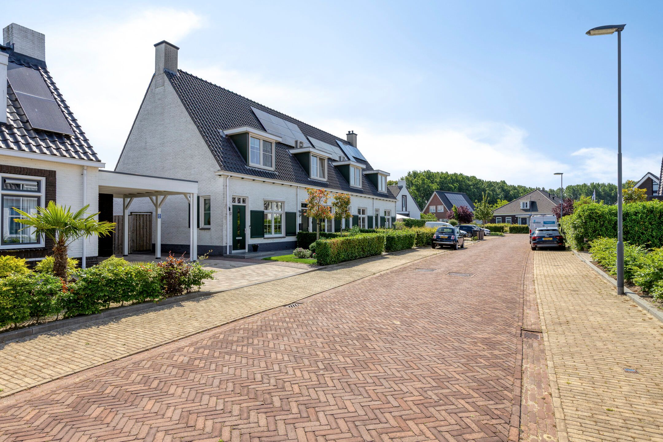 Foto 6 van Skimmiastraat 8