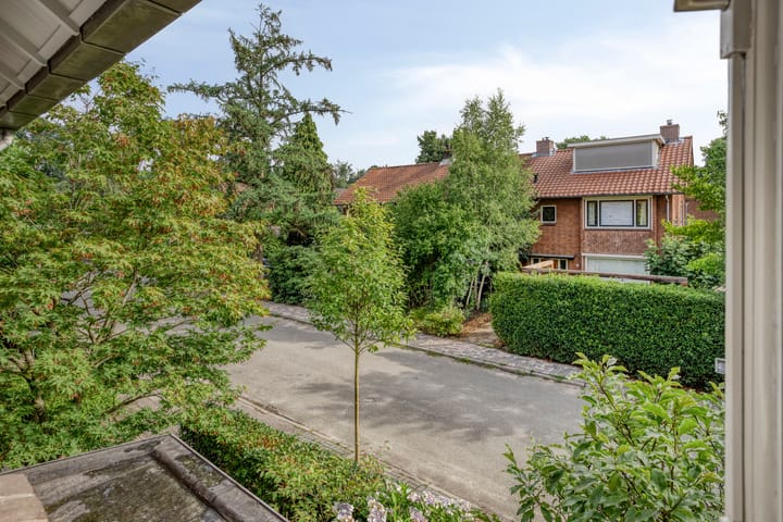 Foto 35 van Ambonstraat 9