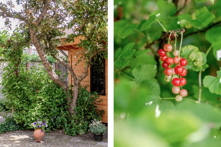 Foto 43 van Prinsessekade 52