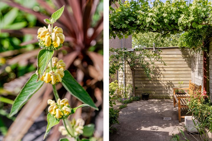 Foto 48 van Prinsessekade 52