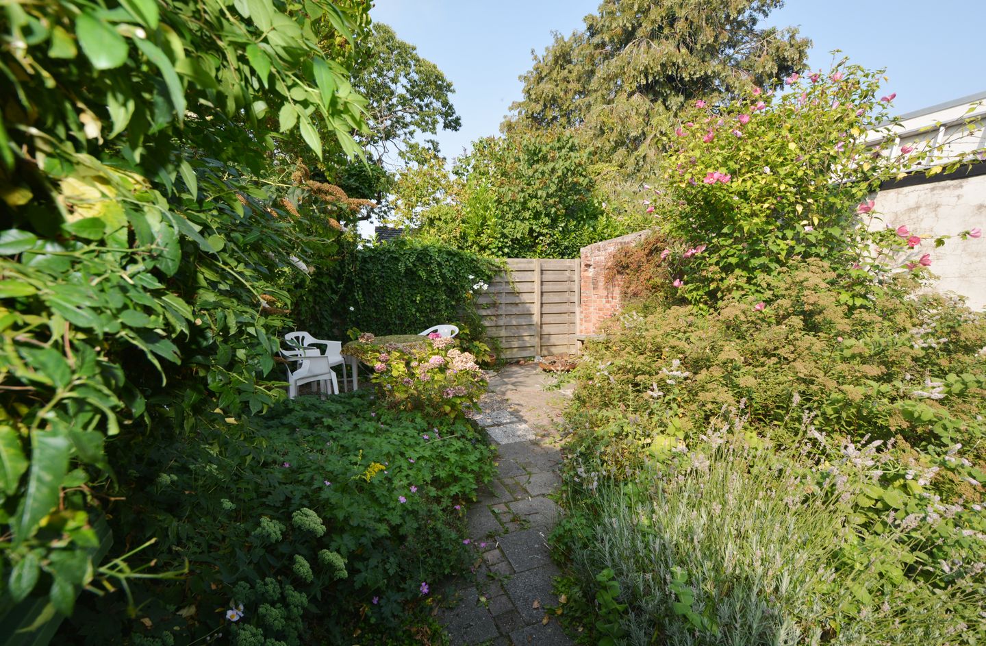 Foto 25 van Brouwerijstraat 33