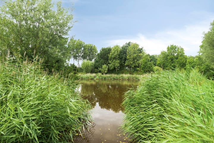 Foto 31 van Attleestede 4