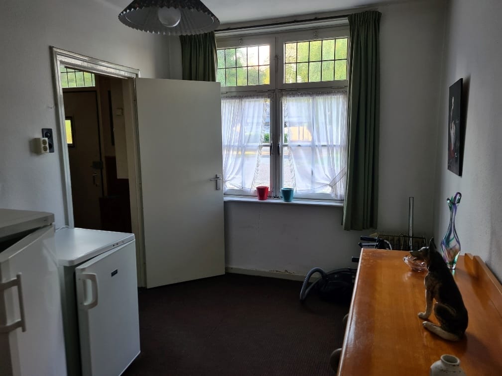 Foto 7 van Kreijel 19