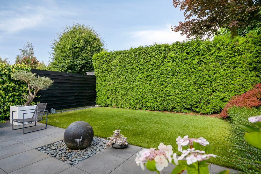 Photo 32 of Juraberg 23