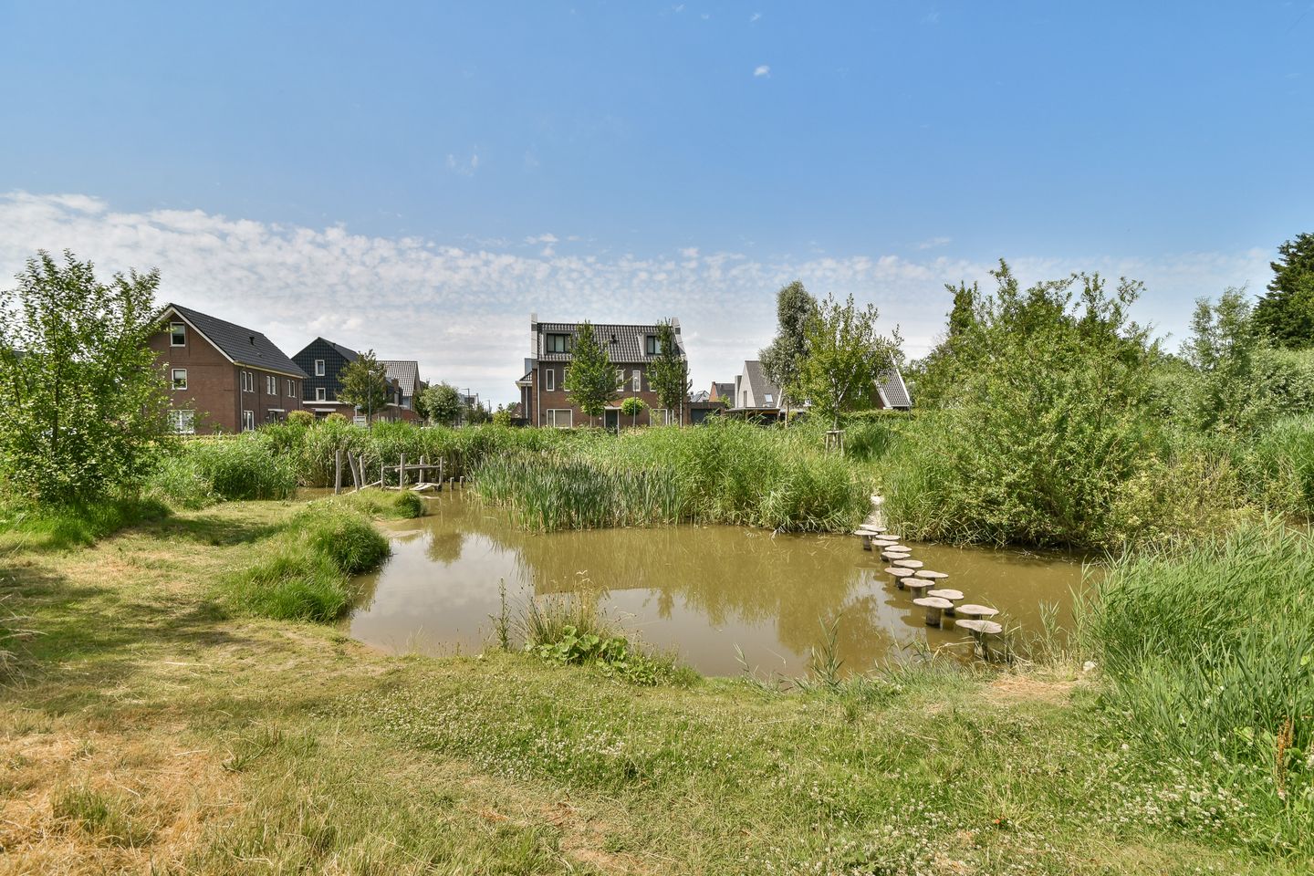 Photo 34 of Vlinderslag 22